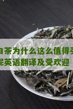 白茶为什么这么值得买呢英语翻译及受欢迎