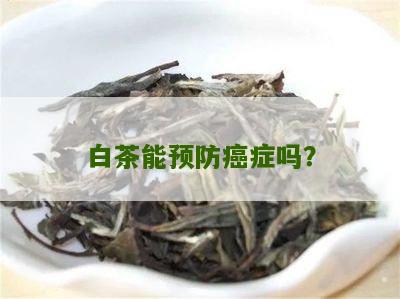 白茶能预防癌症吗？