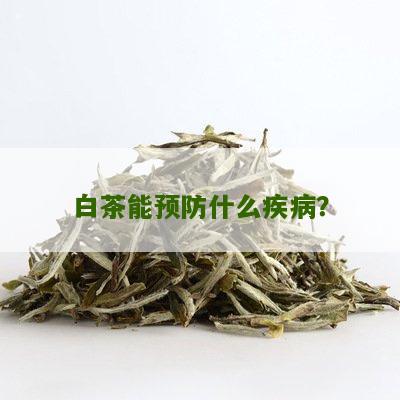 白茶能预防什么疾病？