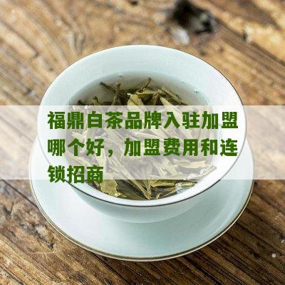 福鼎白茶品牌入驻加盟哪个好，加盟费用和连锁招商