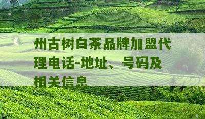 州古树白茶品牌加盟代理电话-地址、号码及相关信息