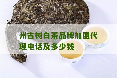 州古树白茶品牌加盟代理电话及多少钱