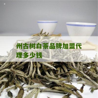 州古树白茶品牌加盟代理多少钱