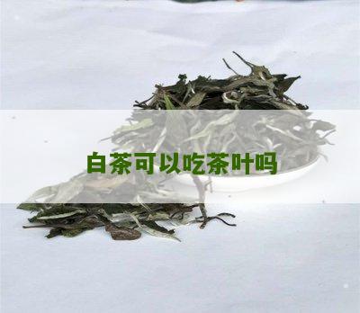 白茶可以吃茶叶吗