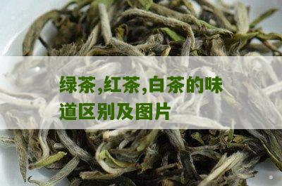 绿茶,红茶,白茶的味道区别及图片