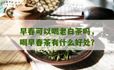 早春可以喝老白茶吗，喝早春茶有什么好处？