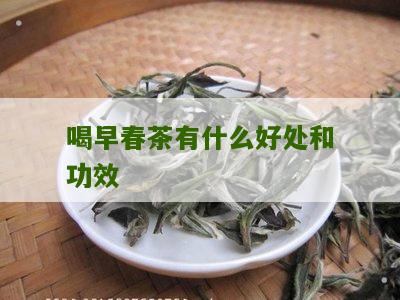 喝早春茶有什么好处和功效