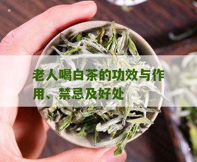 老人喝白茶的功效与作用、禁忌及好处