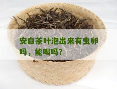 安白茶叶泡出来有虫卵吗，能喝吗？