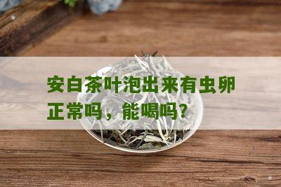 安白茶叶泡出来有虫卵正常吗，能喝吗？