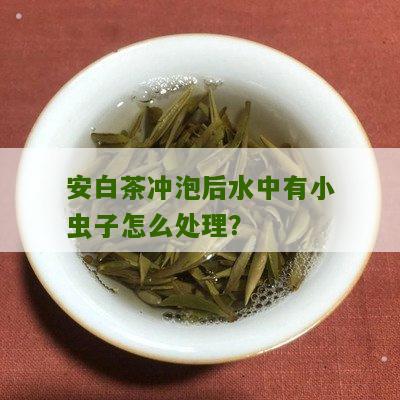 安白茶冲泡后水中有小虫子怎么处理？