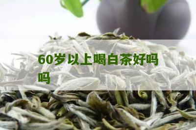 60岁以上喝白茶好吗吗