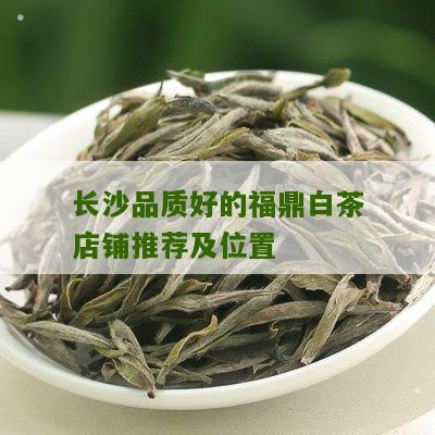 长沙品质好的福鼎白茶店铺推荐及位置