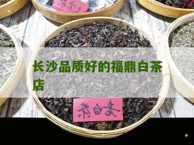 长沙品质好的福鼎白茶店