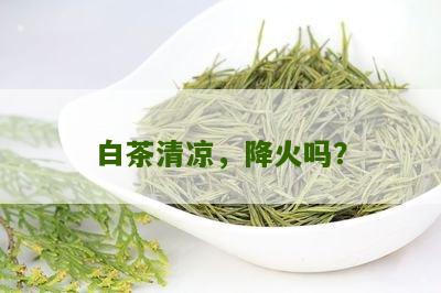 白茶清凉，降火吗？