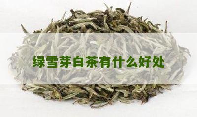 绿雪芽白茶有什么好处