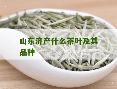 山东济产什么茶叶及其品种