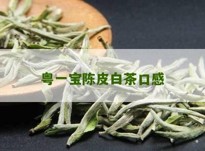 粤一宝陈皮白茶口感