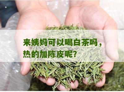 来姨妈可以喝白茶吗，热的加陈皮呢？