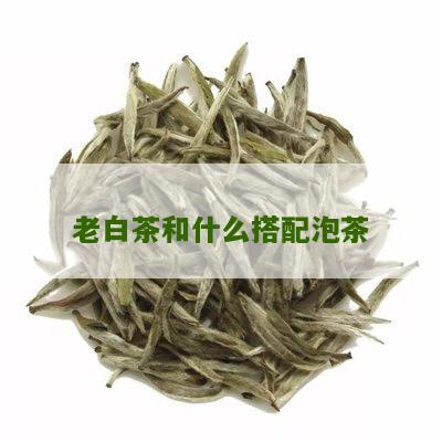 老白茶和什么搭配泡茶