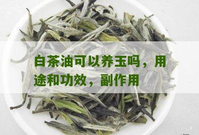 白茶油可以养玉吗，用途和功效，副作用