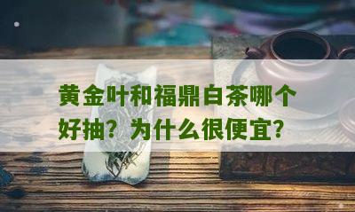 黄金叶和福鼎白茶哪个好抽？为什么很便宜？