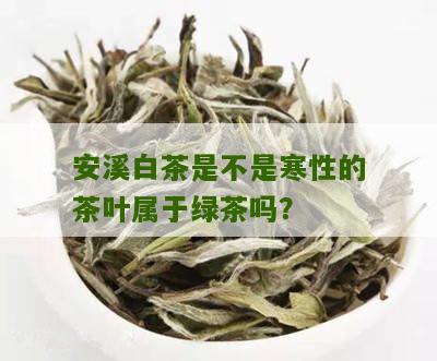 安溪白茶是不是寒性的茶叶属于绿茶吗？