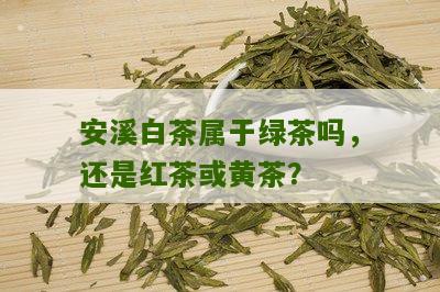 安溪白茶属于绿茶吗，还是红茶或黄茶？