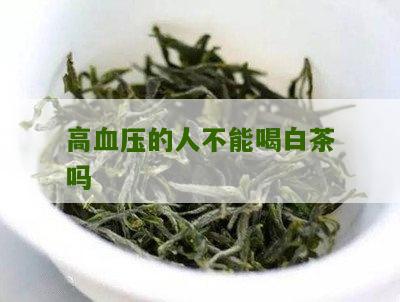 高血压的人不能喝白茶吗