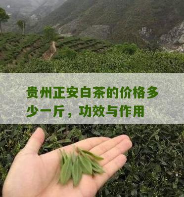 贵州正安白茶的价格多少一斤，功效与作用