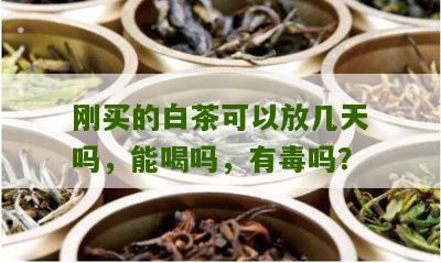 刚买的白茶可以放几天吗，能喝吗，有毒吗？