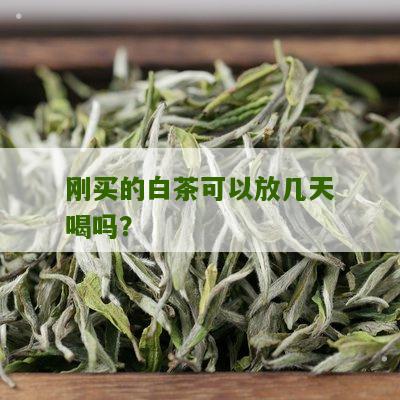 刚买的白茶可以放几天喝吗？