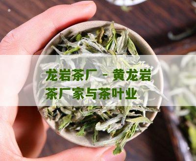 龙岩茶厂 - 黄龙岩茶厂家与茶叶业