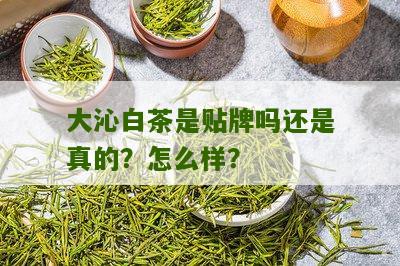 大沁白茶是贴牌吗还是真的？怎么样？