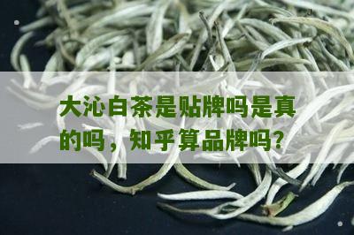 大沁白茶是贴牌吗是真的吗，知乎算品牌吗？