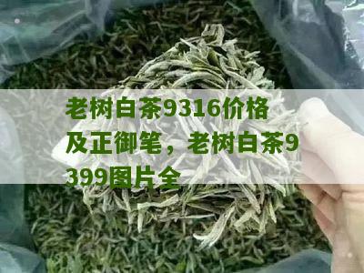 老树白茶9316价格及正御笔，老树白茶9399图片全