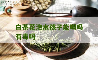 白茶花泡水孩子能喝吗有毒吗