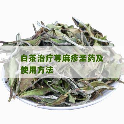 白茶治疗荨麻疹圣药及使用方法