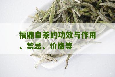 福鼎白茶的功效与作用、禁忌、价格等