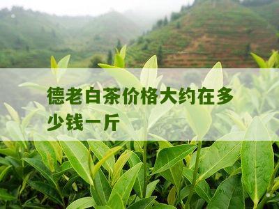 德老白茶价格大约在多少钱一斤