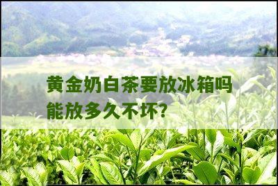 黄金奶白茶要放冰箱吗能放多久不坏？