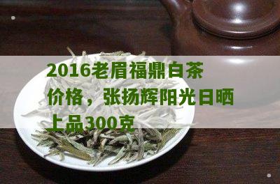 2016老眉福鼎白茶价格，张扬辉阳光日晒上品300克