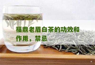 福鼎老眉白茶的功效和作用，禁忌