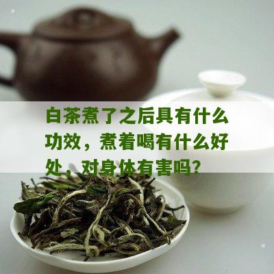 白茶煮了之后具有什么功效，煮着喝有什么好处，对身体有害吗？