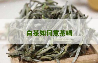 白茶如何煮茶喝