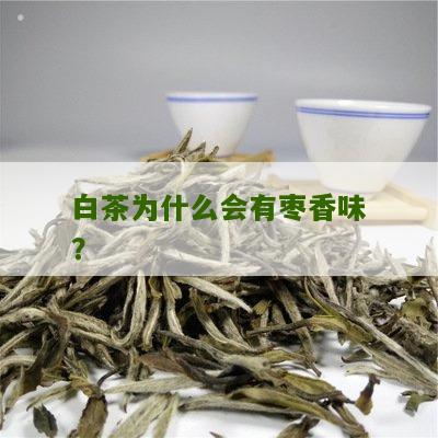 白茶为什么会有枣香味？