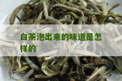 白茶泡出来的味道是怎样的