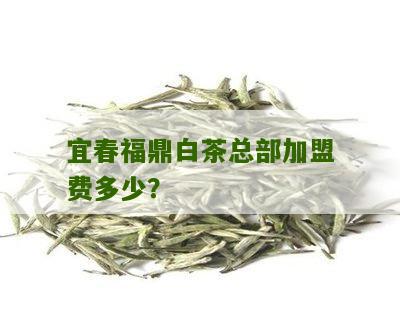 宜春福鼎白茶总部加盟费多少？