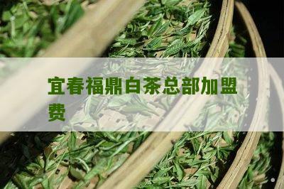 宜春福鼎白茶总部加盟费