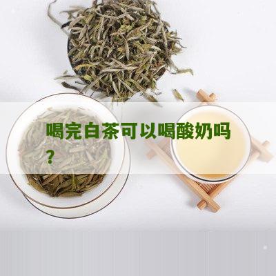 喝完白茶可以喝酸奶吗？